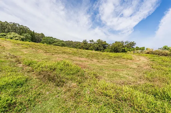 36-2615 LAUPAHOEHOE POINT RD, Laupahoehoe, HI 96774