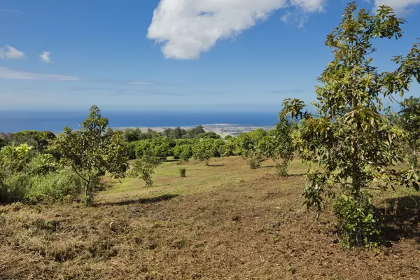 Kailua-kona, HI 96740,73-1395 KAUKAHOKU RD