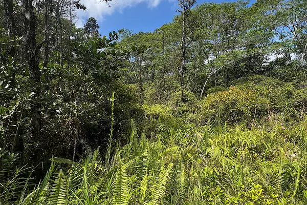 Keaau, HI 96749,17TH AVE