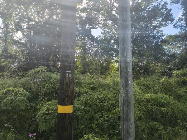 Pahoa, HI 96778,MAILE ST