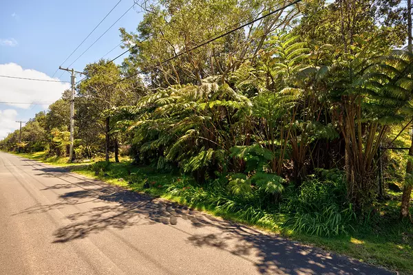 Volcano, HI 96785,LIONA ST #Lot 53-8-138