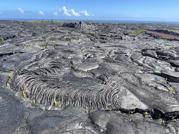 Pahoa, HI 96778,KAIMU-CHAIN OF CRATERS RD