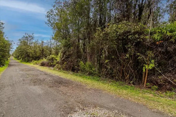 Mountain View, HI 96771,OHELO ST