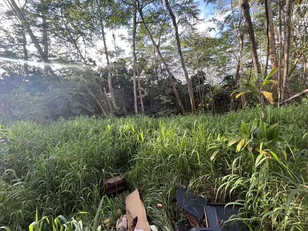 15-1727 18TH AVE, Keaau, HI 96749