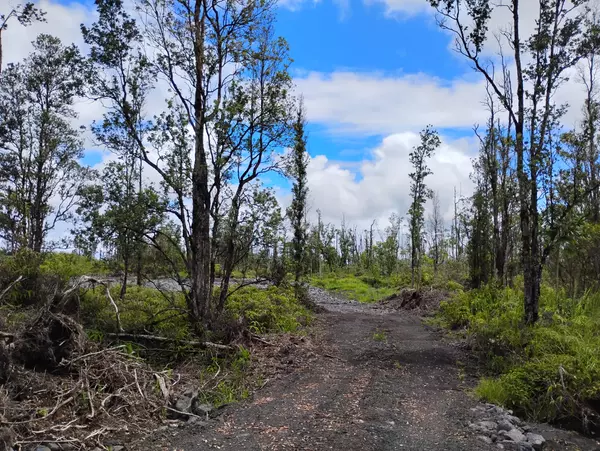 Kurtistown, HI 96760,ROAD 9 (KOLOA MAOLI)