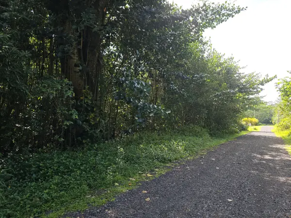 Keaau, HI 96749,15-1414 12TH AVE