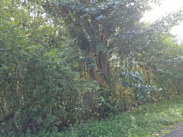 Keaau, HI 96749,15-1414 12TH AVE