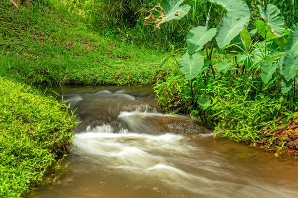 5880 KINI PL, Kapaa, HI 96746