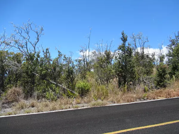 Ocean View, HI 96737,PINEAPPLE PKWY