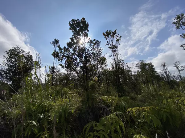 Volcano, HI 96785,KALEPONI DR