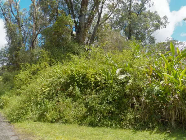 HINUHINU ST,  Volcano,  HI 96785