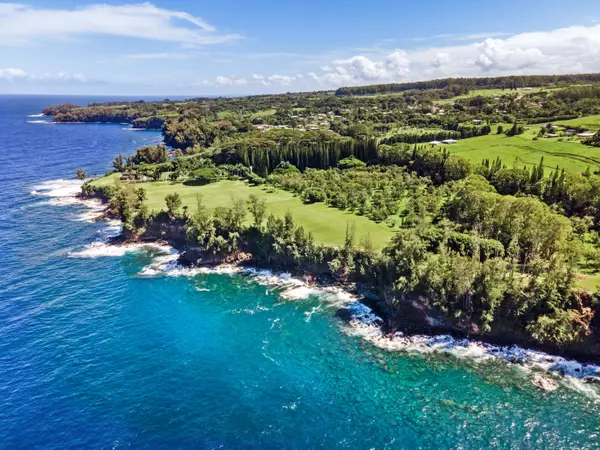 Honomu, HI 96728,28-3628 HAWAII BELT RD