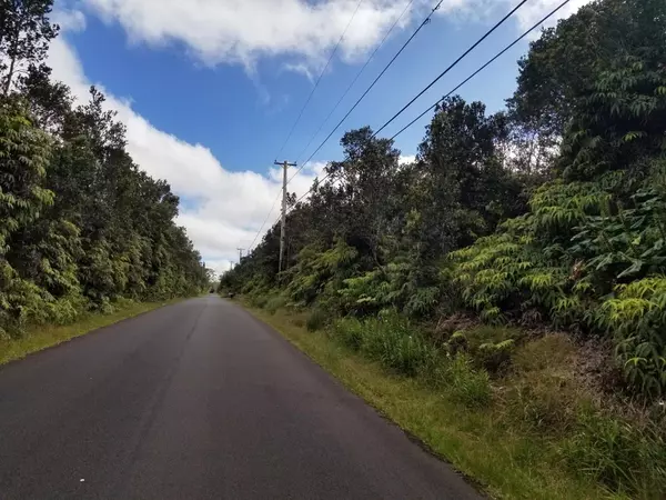 Volcano, HI 96785,NAHELENANI ST