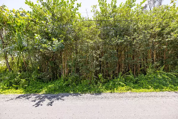 Keaau, HI 96749,10TH AVE