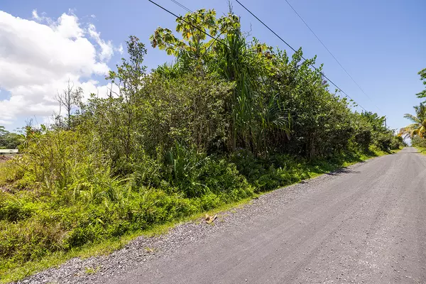 Keaau, HI 96749,10TH AVE