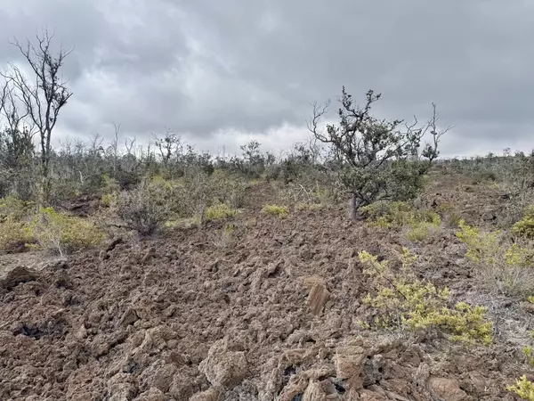 Ocean View, HI 96737,MAIKAI BLVD