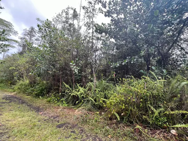 Kurtistown, HI 96760,16-1301 PULELEHUA RD