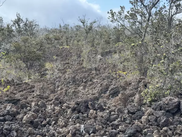 Ocean View, HI 96737,OHIA DR