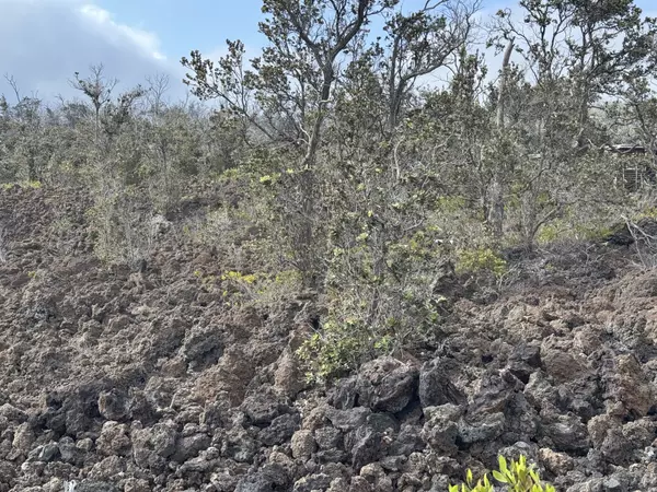 Ocean View, HI 96737,OHIA DR