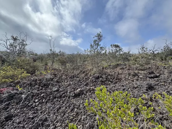 Ocean View, HI 96737,OHIA DR