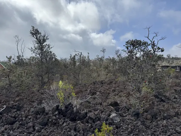 Ocean View, HI 96737,OHIA DR