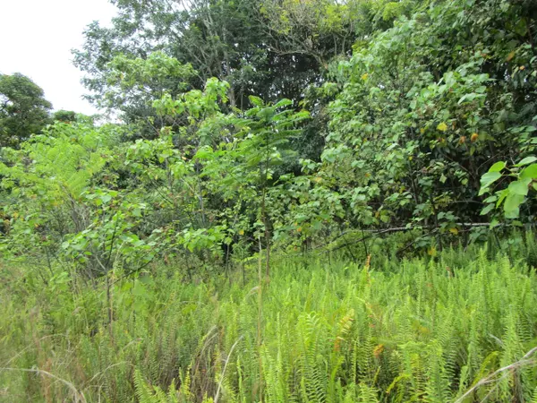 Hilo, HI 96720,923 KAUMANA DR