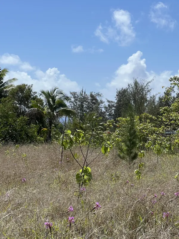 WAIOLEKA ST, Pahoa, HI 96778