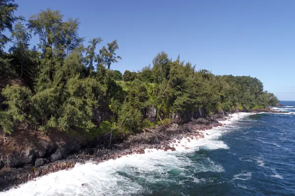 Hakalau, HI 96710,29-3818 HAWAII BELT RD