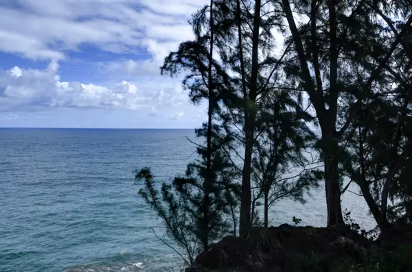 Hakalau, HI 96710,29-3818 HAWAII BELT RD