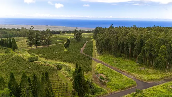 Pahala, HI 96777,KAMA'ILE RD