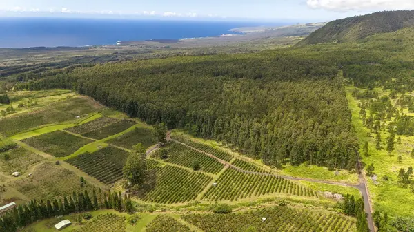 KAMA'ILE RD, Pahala, HI 96777