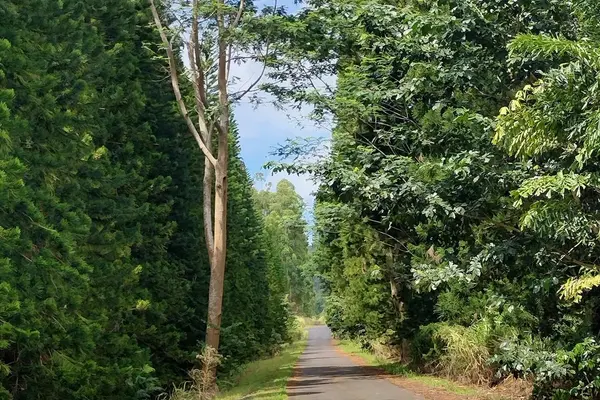 KAMA'ILE RD, Pahala, HI 96777