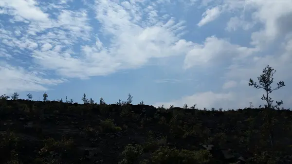 Ocean View, HI 96737,PALM PKWY