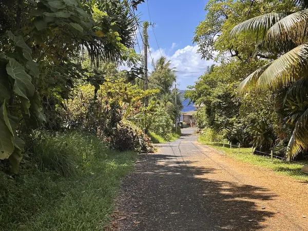 KAMAKOA ST,  Pahoa,  HI 96778