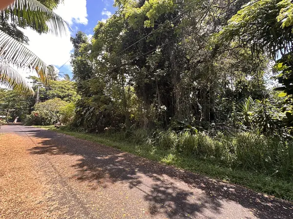 KAMAKOA ST, Pahoa, HI 96778