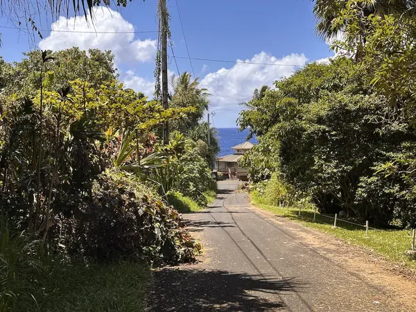 KAMAKOA ST, Pahoa, HI 96778