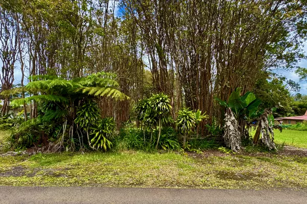 Volcano, HI 96785,18-1993 HAPUU NANI RD