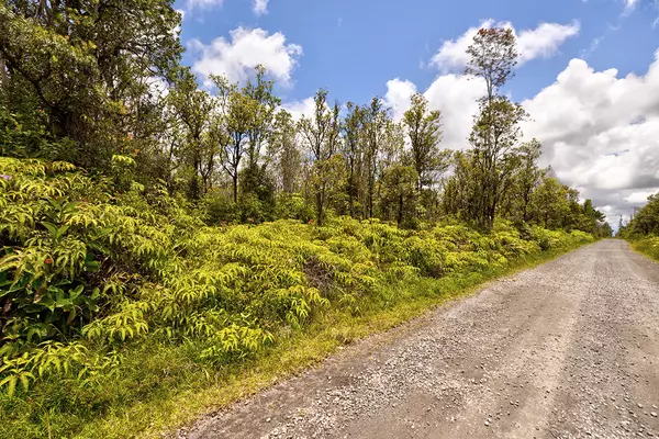 JUNGLE KING AVE, Volcano, HI 96785