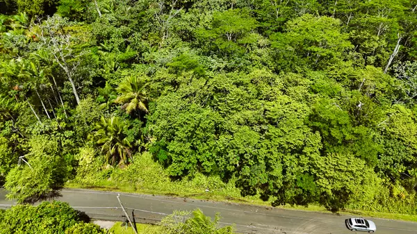 Pahoa, HI 96778,POMAIKAI ST
