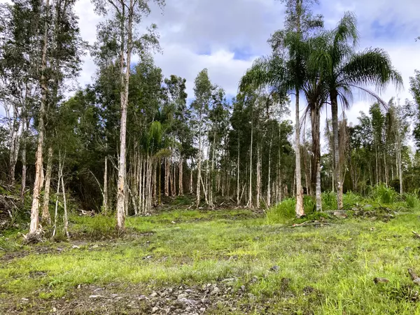 16-1234 MAPUANA ST, Kurtistown, HI 96760