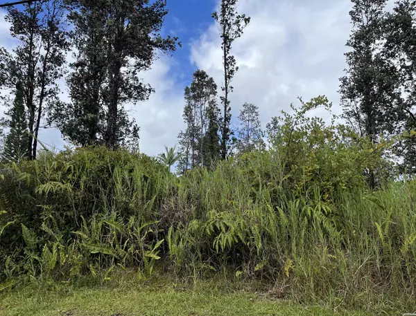 Mountain View, HI 96771,LEHUA ST