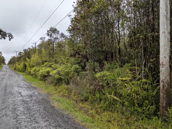 Volcano, HI 96785,49 KOKOKAHI RD