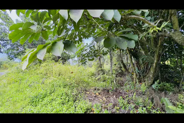 Keaau, HI 96749,LEMIWAI RD