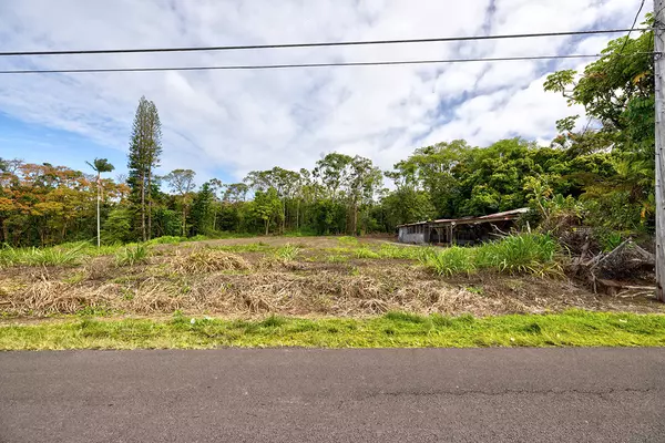 Hilo, HI 96720,LEIMAMO ST