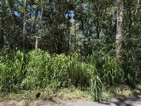 Keaau, HI 96749,11TH AVE