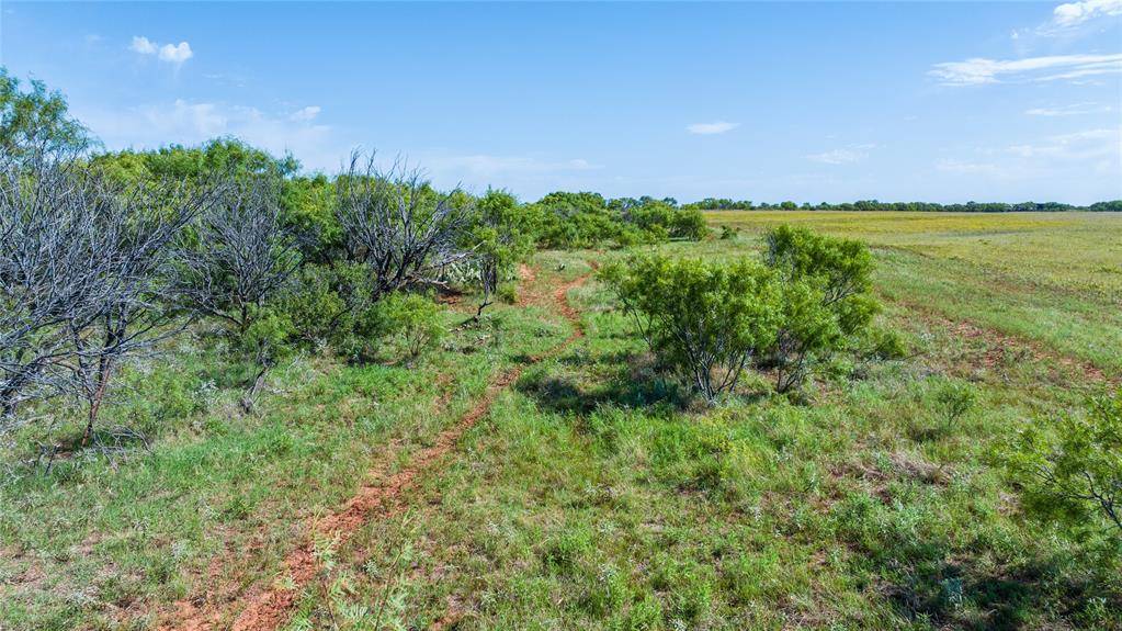 Olney, TX 76370,TBD Parkey Road