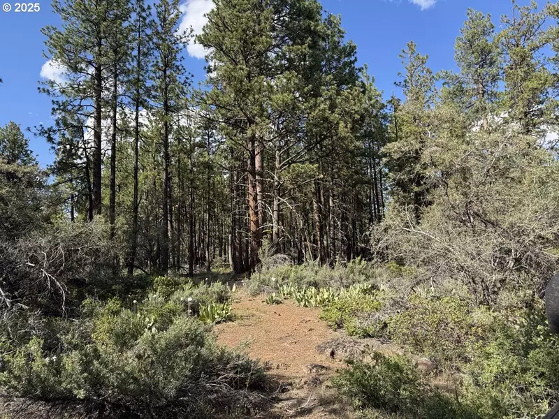 Thunder Bear Road #46, Bonanza, OR 97623