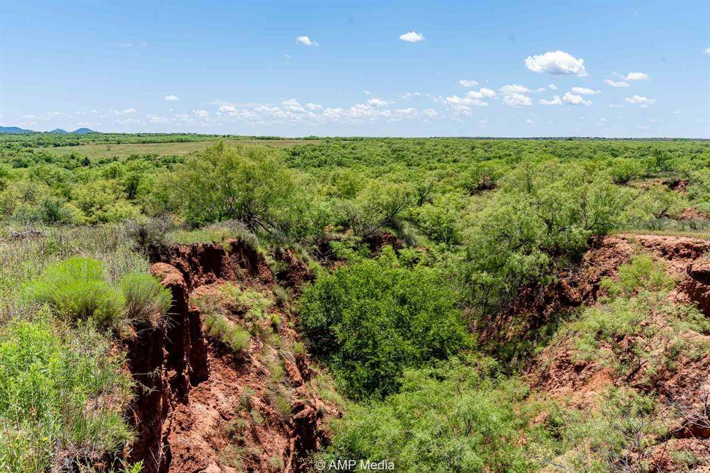 Aspermont, TX 79502,419 County Road