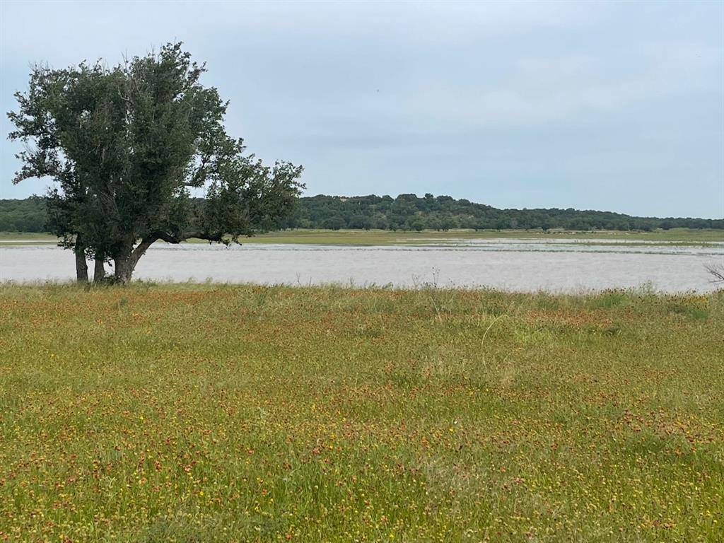 Brownwood, TX 76801,TBD Rosemary Lane