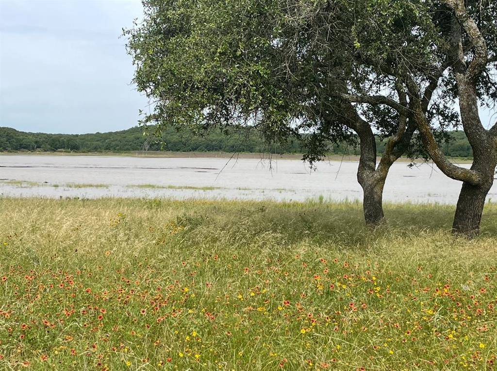 Brownwood, TX 76801,TBD Rosemary Lane